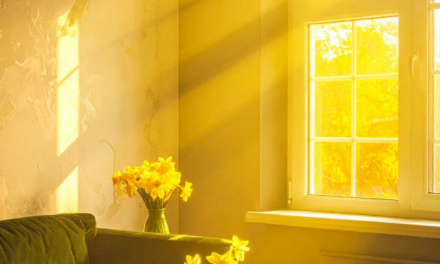 Why the Words We Use Around Suicide Matter